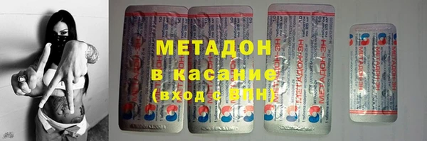 шишки Арсеньев