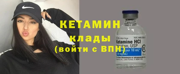 шишки Арсеньев