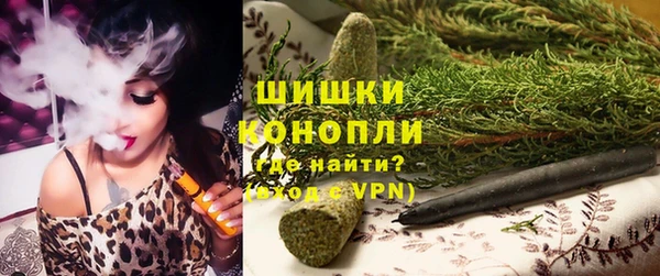 шишки Арсеньев