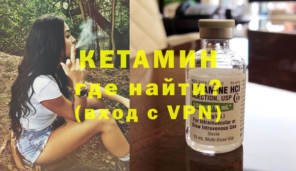 шишки Арсеньев
