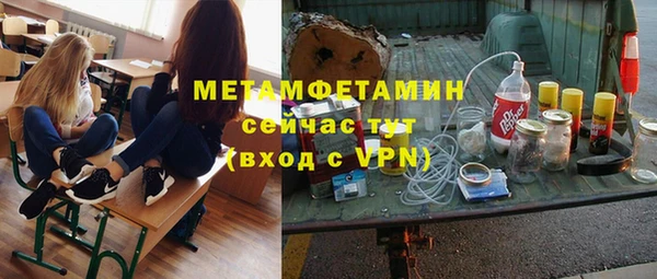 шишки Арсеньев