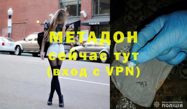 шишки Арсеньев