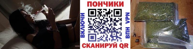 Бошки марихуана AK-47  где продают наркотики  Краснодар 